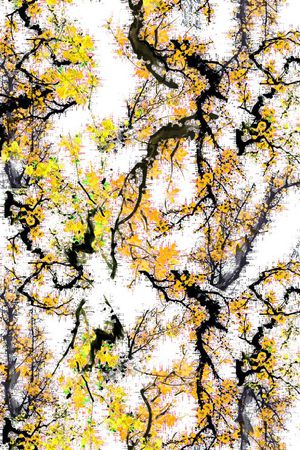 流行时尚大牌印花华亿平台图片