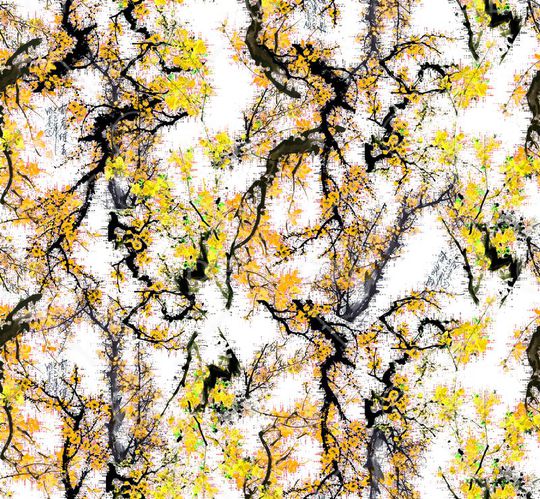 流行时尚大牌印花华亿平台图片