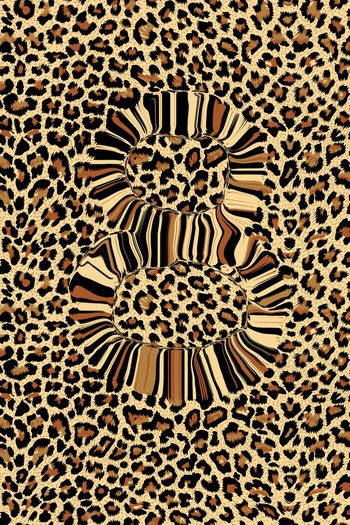 426226-原创几何数字8纹理与豹纹定位华亿平台可