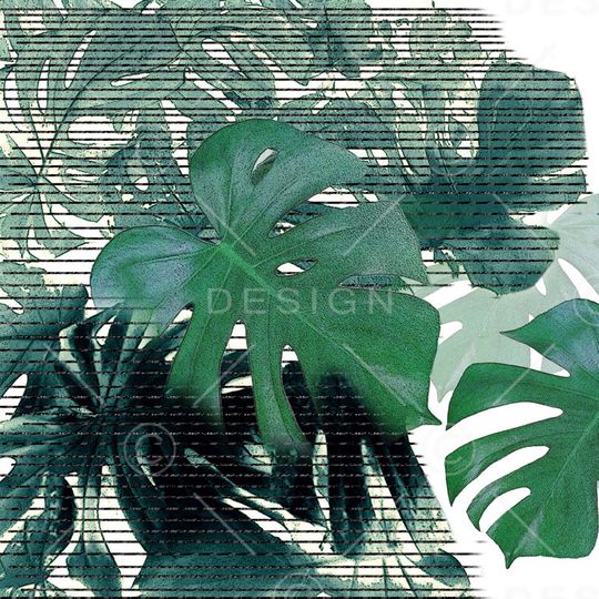 文艺复兴印花华亿平台图片