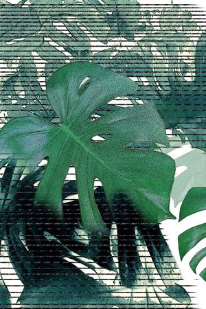 文艺复兴印花华亿平台图片