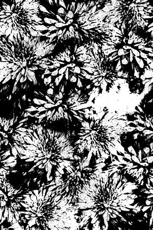 创意印花华亿平台图片