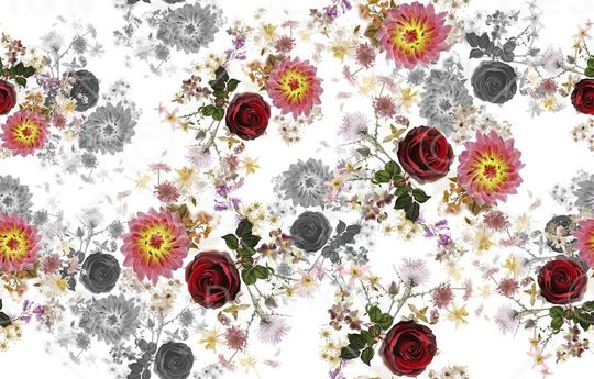 流行 时尚印花华亿平台图片