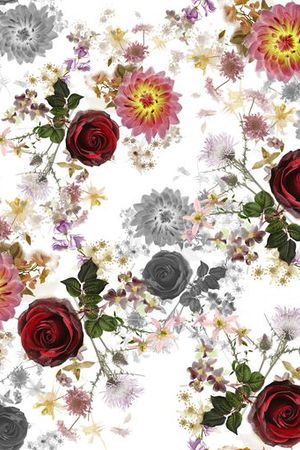 流行 时尚印花华亿平台图片