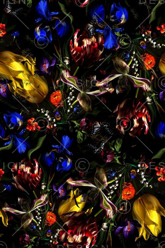 时尚休闲印花华亿平台图片