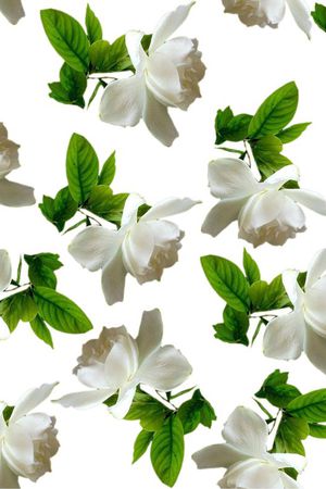 纯洁印花华亿平台图片