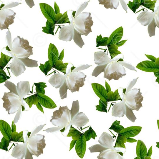 纯洁印花华亿平台图片