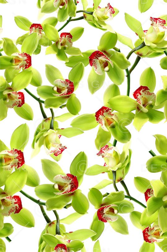 朝气印花华亿平台图片