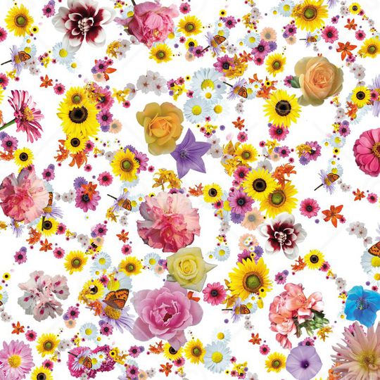 可爱花朵印花华亿平台图片