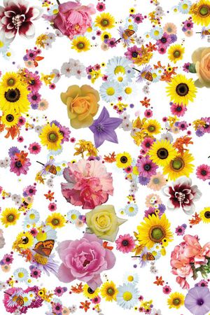 可爱花朵印花华亿平台图片