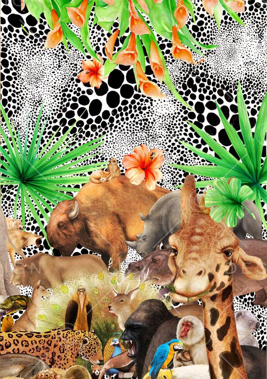 定位印花华亿平台图片