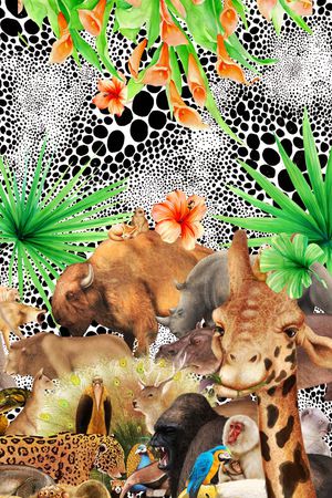 定位印花华亿平台图片