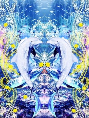 427355-梦幻绚丽海底动物风情-爱心海豚