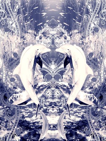 427357-梦幻绚丽海底动物风情-爱心海豚