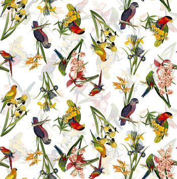 427640-流行时尚复古花鸟数码印花