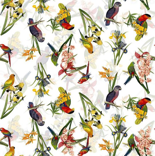 流行时尚印花华亿平台图片