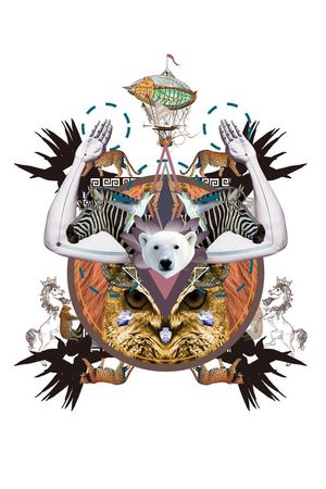 北极熊印花华亿平台图片