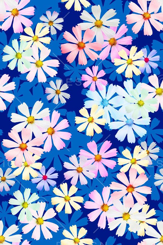 花卉摄影印花华亿平台图片