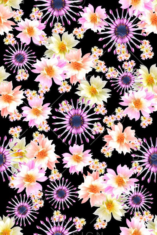 花卉摄影印花华亿平台图片