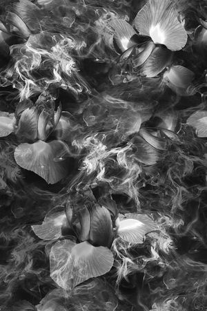 烟雾、花卉、灰色印花华亿平台图片