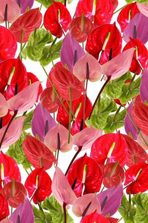 满版印花华亿平台图片