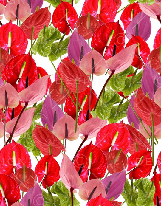 满版印花华亿平台图片