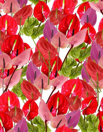 满版印花华亿平台图片