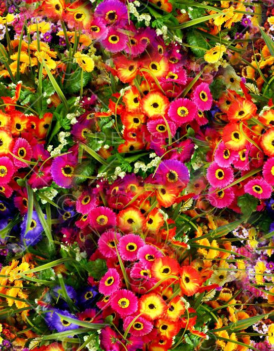 满版印花华亿平台图片