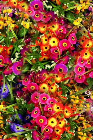 满版印花华亿平台图片