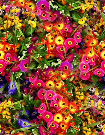 满版印花华亿平台图片