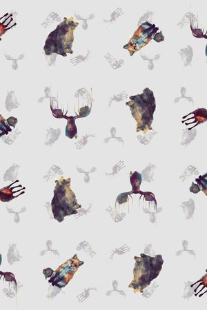 动物印花华亿平台图片