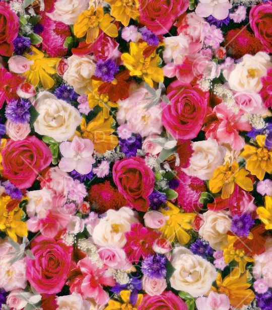 休闲印花华亿平台图片