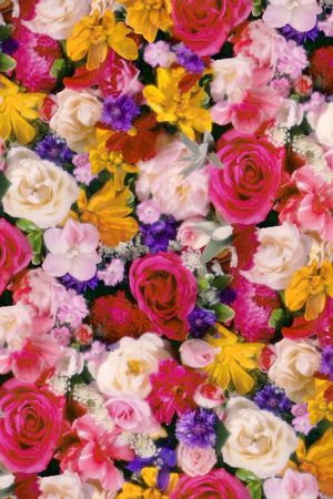 休闲印花华亿平台图片