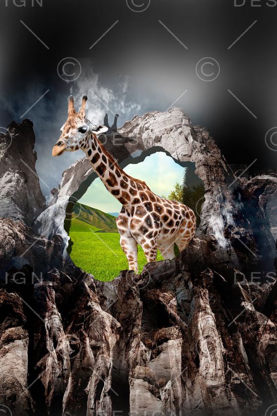 高山印花华亿平台图片