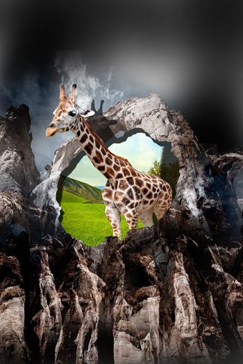 高山印花华亿平台图片