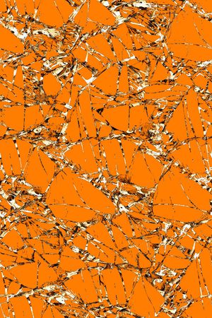 时尚印花华亿平台图片