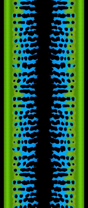 428167-中东定位动物纹印花设计