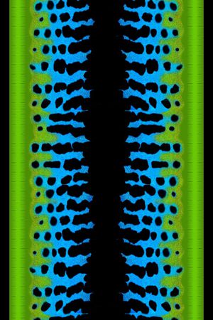 中东市场印花华亿平台图片