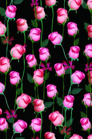 玫瑰印花华亿平台图片