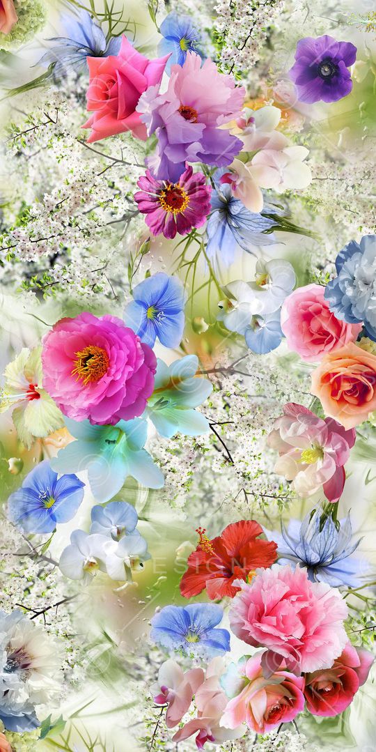 满版华亿平台印花华亿平台图片