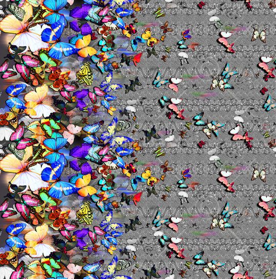 彩色蝴蝶印花华亿平台图片