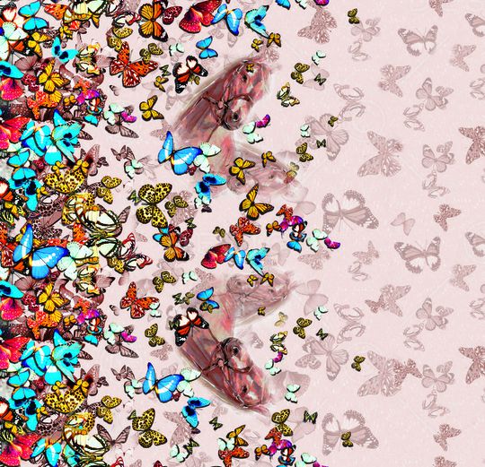 卡其马儿印花华亿平台图片