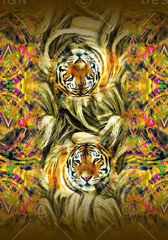 动物组合印花华亿平台图片