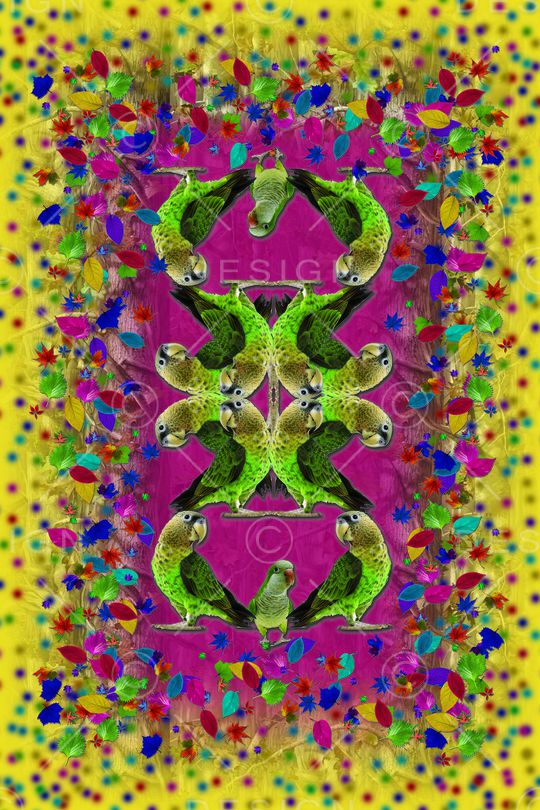 动物印花华亿平台图片