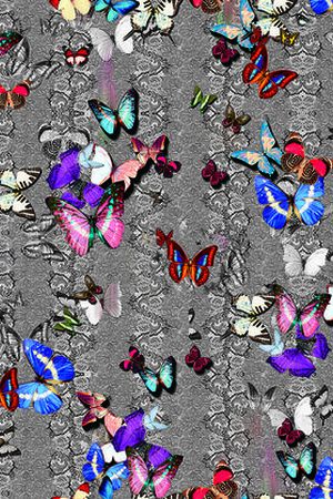 动物印花华亿平台图片