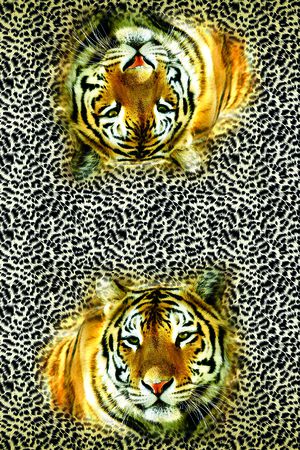 黄 黑印花华亿平台图片