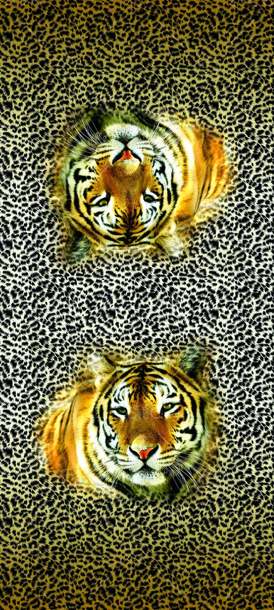 黄 黑印花华亿平台图片