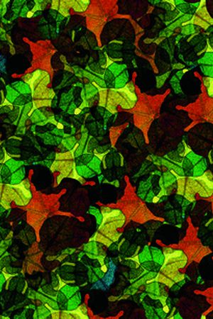 花卉组合印花华亿平台图片