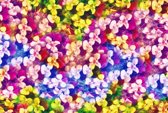 花卉组合印花华亿平台图片