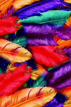 动物纹印花华亿平台图片